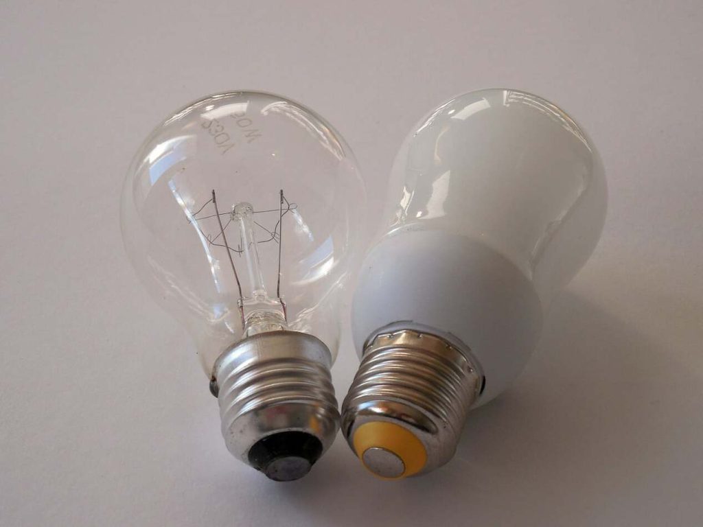 Pair of Light Bulbs