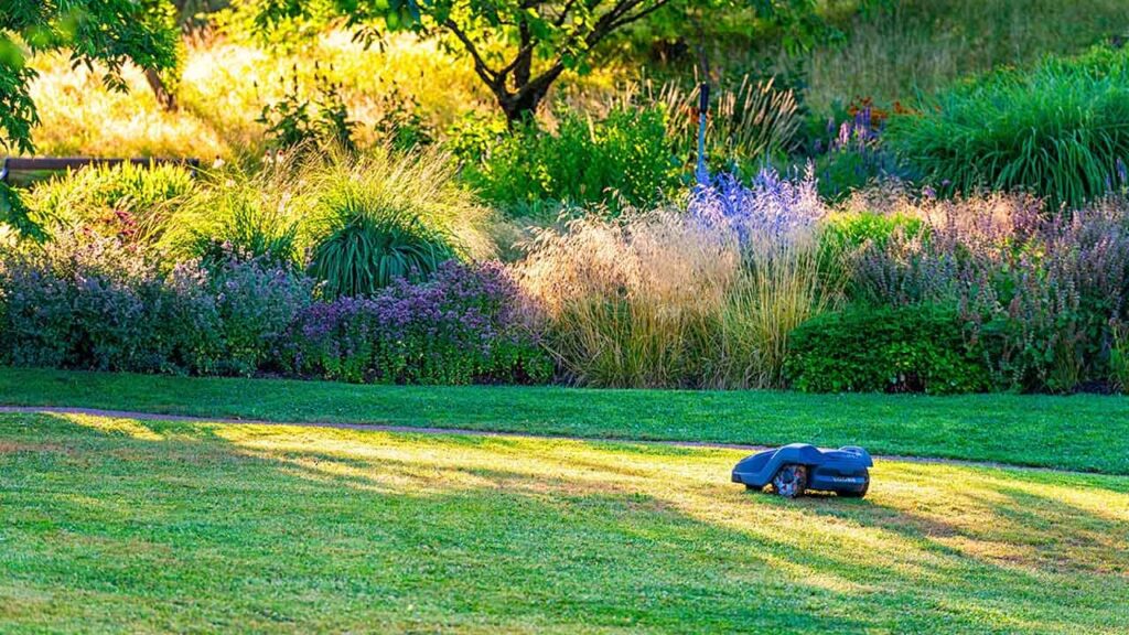 A smart robotic lawn mower is cutting the lawn.