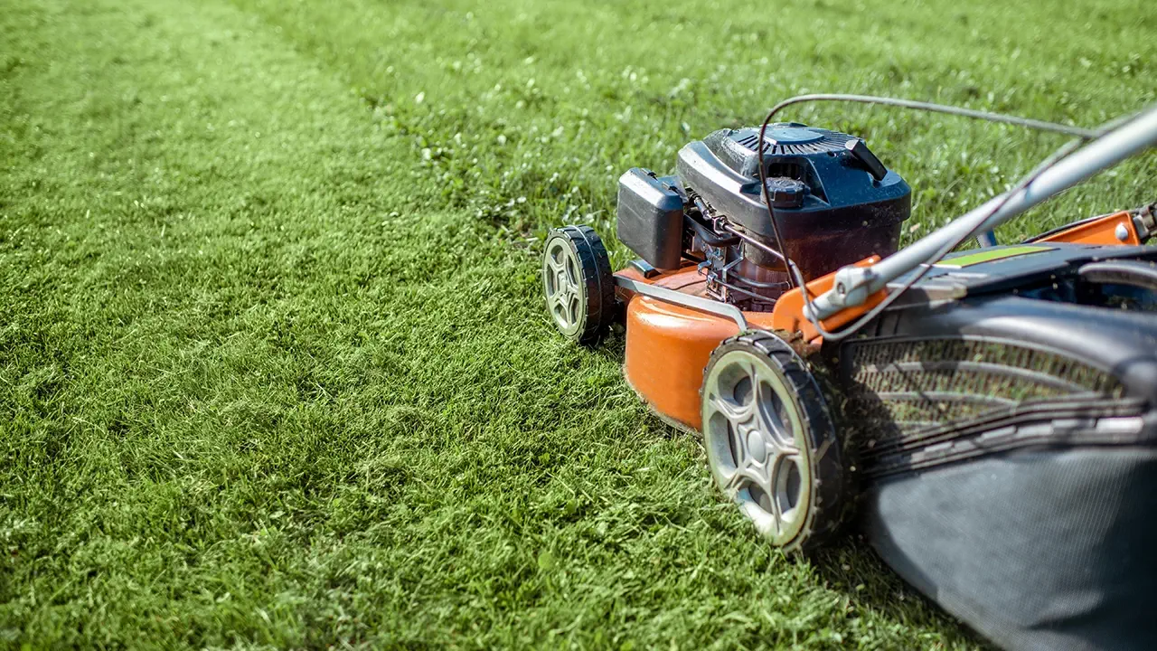 A self-propelled lawn mower in action.