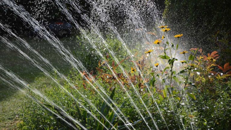 Welcome to the Future of Gardening: Smart Garden Tools