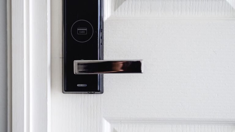 Smart Door Locks: First Steps